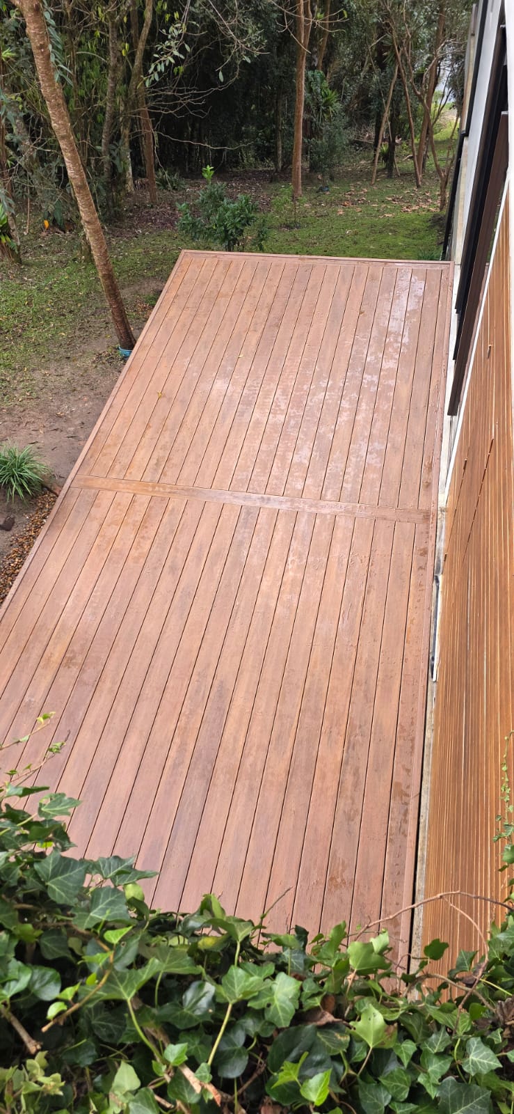 Deck em área externa com vegetação nativa